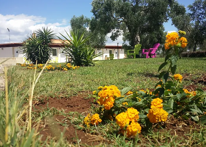 Agriturismo Terra D'Ulivi Porto Cesareo